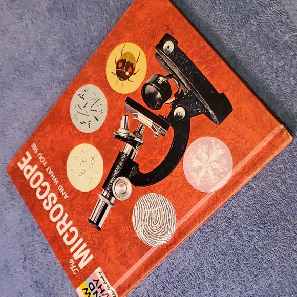 The microscope and what you see - Picture 3 of 4